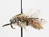  ( - OSAC_0001279528)  @11 [ ] CreativeCommons  Attribution (by) (2023) Pollinator Health Lab Oregon State University