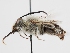  ( - OSAC_0001279536)  @11 [ ] CreativeCommons  Attribution (by) (2023) Pollinator Health Lab Oregon State University