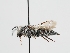  ( - OSAC_0001278573)  @11 [ ] CreativeCommons  Attribution (by) (2023) Pollinator Health Lab Oregon State University