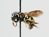 ( - OSAC_0001275903)  @11 [ ] CreativeCommons  Attribution (by) (2023) Pollinator Health Lab Oregon State University