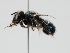  ( - OSAC_0001224212)  @11 [ ] CreativeCommons  Attribution (by) (2023) Pollinator Health Lab Oregon State University