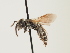  ( - ORBIT_0009)  @11 [ ] nrr (2023) Unspecified Thomas Wood