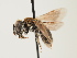  ( - ORBIT_0017)  @11 [ ] nrr (2023) Unspecified Thomas Wood