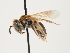  ( - ORBIT_0018)  @11 [ ] nrr (2023) Unspecified Thomas Wood