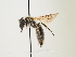  ( - ORBIT_0027)  @11 [ ] nrr (2023) Unspecified Thomas Wood