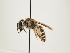  ( - ORBIT_0030)  @11 [ ] nrr (2023) Unspecified Thomas Wood