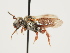  ( - ORBIT_0037)  @11 [ ] nrr (2023) Unspecified Thomas Wood