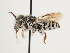 ( - ORBIT_0038)  @11 [ ] nrr (2023) Unspecified Thomas Wood