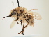  ( - ORBIT_0067)  @11 [ ] nrr (2023) Unspecified Thomas Wood