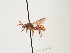  ( - ORBIT_0112)  @11 [ ] nrr (2023) Unspecified Thomas Wood