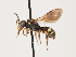  ( - ORBIT_0141)  @11 [ ] nrr (2023) Unspecified Thomas Wood