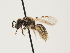  ( - ORBIT_0163)  @11 [ ] nrr (2023) Unspecified Thomas Wood