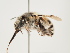  ( - ORBIT_0245)  @11 [ ] nrr (2023) Unspecified Thomas Wood