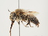  ( - ORBIT_0249)  @11 [ ] nrr (2023) Unspecified Thomas Wood