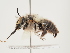  ( - ORBIT_0250)  @11 [ ] nrr (2023) Unspecified Thomas Wood