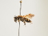  ( - ORBIT_0269)  @11 [ ] nrr (2023) Unspecified Thomas Wood