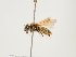  ( - ORBIT_0270)  @11 [ ] nrr (2023) Unspecified Thomas Wood