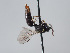  ( - ORBIT_0310)  @11 [ ] nrr (2023) Unspecified Romain Le Divelec