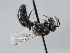 ( - ORBIT_0312)  @11 [ ] nrr (2023) Unspecified Romain Le Divelec