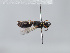  ( - ORBIT_0320)  @11 [ ] nrr (2023) Unspecified Romain Le Divelec