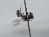 ( - ORBIT_0337)  @11 [ ] nrr (2023) Unspecified Romain Le Divelec