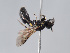  ( - ORBIT_0351)  @11 [ ] nrr (2023) Unspecified Romain Le Divelec