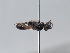  ( - ORBIT_0359)  @11 [ ] nrr (2023) Unspecified Romain Le Divelec