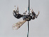  ( - ORBIT_0362)  @11 [ ] nrr (2023) Unspecified Romain Le Divelec