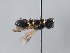  ( - ORBIT_0368)  @11 [ ] nrr (2023) Unspecified Romain Le Divelec