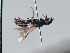  ( - ORBIT_0393)  @11 [ ] nrr (2023) Unspecified Romain Le Divelec