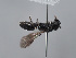  ( - ORBIT_0406)  @11 [ ] nrr (2023) Unspecified Romain Le Divelec