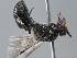  ( - ORBIT_0418)  @11 [ ] nrr (2023) Unspecified Romain Le Divelec