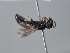  ( - ORBIT_0426)  @11 [ ] nrr (2023) Unspecified Romain Le Divelec