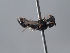  ( - ORBIT_0428)  @11 [ ] nrr (2023) Unspecified Romain Le Divelec