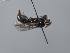  ( - ORBIT_0429)  @11 [ ] nrr (2023) Unspecified Romain Le Divelec