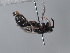  ( - ORBIT_0430)  @11 [ ] nrr (2023) Unspecified Romain Le Divelec