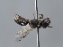  ( - ORBIT_0440)  @11 [ ] nrr (2023) Unspecified Romain Le Divelec