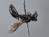  ( - ORBIT_0441)  @11 [ ] nrr (2023) Unspecified Romain Le Divelec