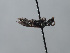  ( - ORBIT_0454)  @11 [ ] nrr (2023) Unspecified Romain Le Divelec