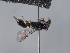  ( - ORBIT_0466)  @11 [ ] nrr (2023) Unspecified Romain Le Divelec
