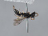  ( - ORBIT_0468)  @11 [ ] nrr (2023) Unspecified Romain Le Divelec