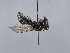  ( - ORBIT_0471)  @11 [ ] nrr (2023) Unspecified Romain Le Divelec