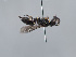  ( - ORBIT_0472)  @11 [ ] nrr (2023) Unspecified Romain Le Divelec