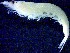  ( - E3-O41)  @11 [ ] Unspecified (default): All Rights Reserved (2021) J.Groeneveld Oceanographic Research Institute