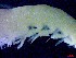  ( - E3-O41)  @11 [ ] Unspecified (default): All Rights Reserved (2021) J.Groeneveld Oceanographic Research Institute