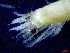  ( - E3-O41)  @11 [ ] Unspecified (default): All Rights Reserved (2021) J.Groeneveld Oceanographic Research Institute