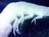  ( - E3-O47)  @11 [ ] Unspecified (default): All Rights Reserved (2021) J.Groeneveld Oceanographic Research Institute