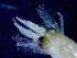  ( - E3-O47)  @11 [ ] Unspecified (default): All Rights Reserved (2021) J.Groeneveld Oceanographic Research Institute