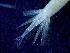  ( - E3-O47)  @11 [ ] Unspecified (default): All Rights Reserved (2021) J.Groeneveld Oceanographic Research Institute