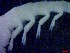  ( - E4-O4)  @11 [ ] Unspecified (default): All Rights Reserved (2021) J.Groeneveld Oceanographic Research Institute